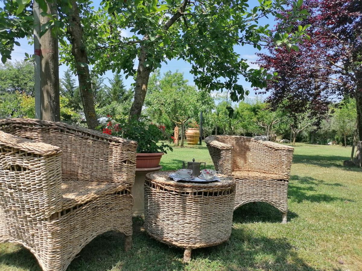 Podere Piandarca Terranuova Bracciolini Eksteriør billede