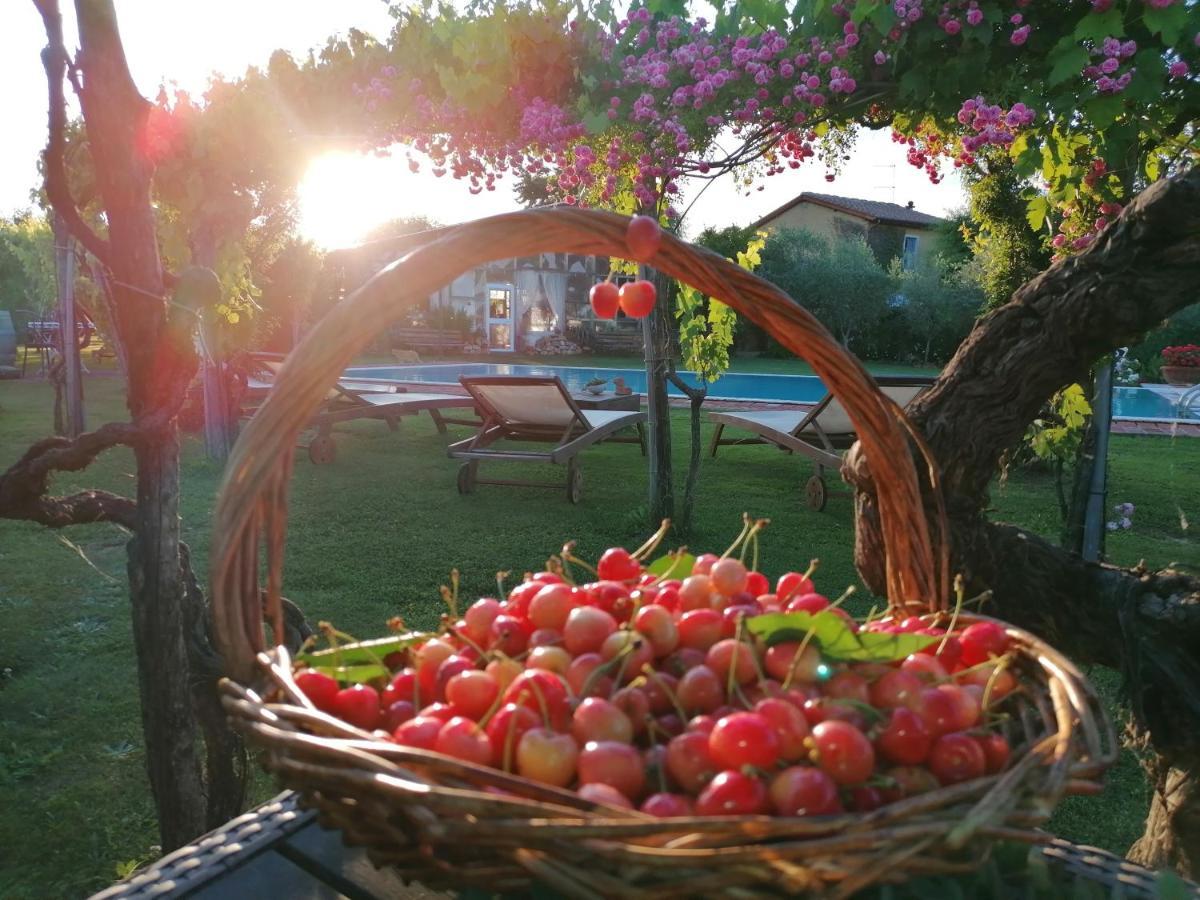 Podere Piandarca Terranuova Bracciolini Eksteriør billede