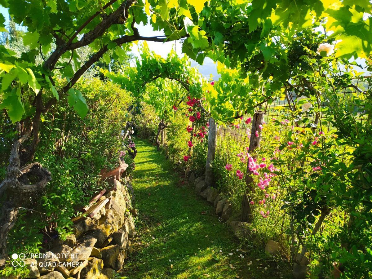 Podere Piandarca Terranuova Bracciolini Eksteriør billede
