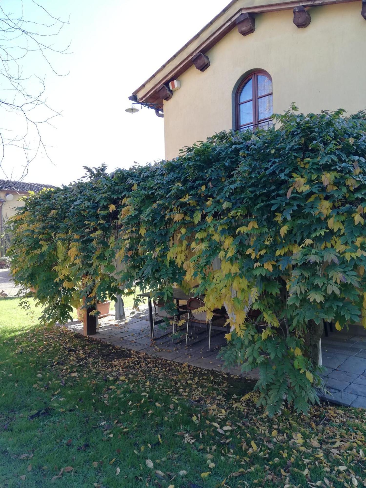 Podere Piandarca Terranuova Bracciolini Eksteriør billede